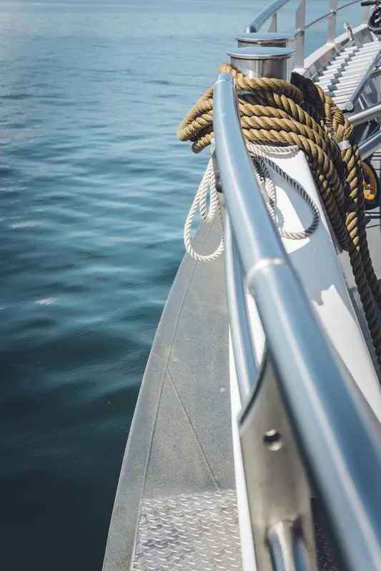 Predator.Boats Premium Domain